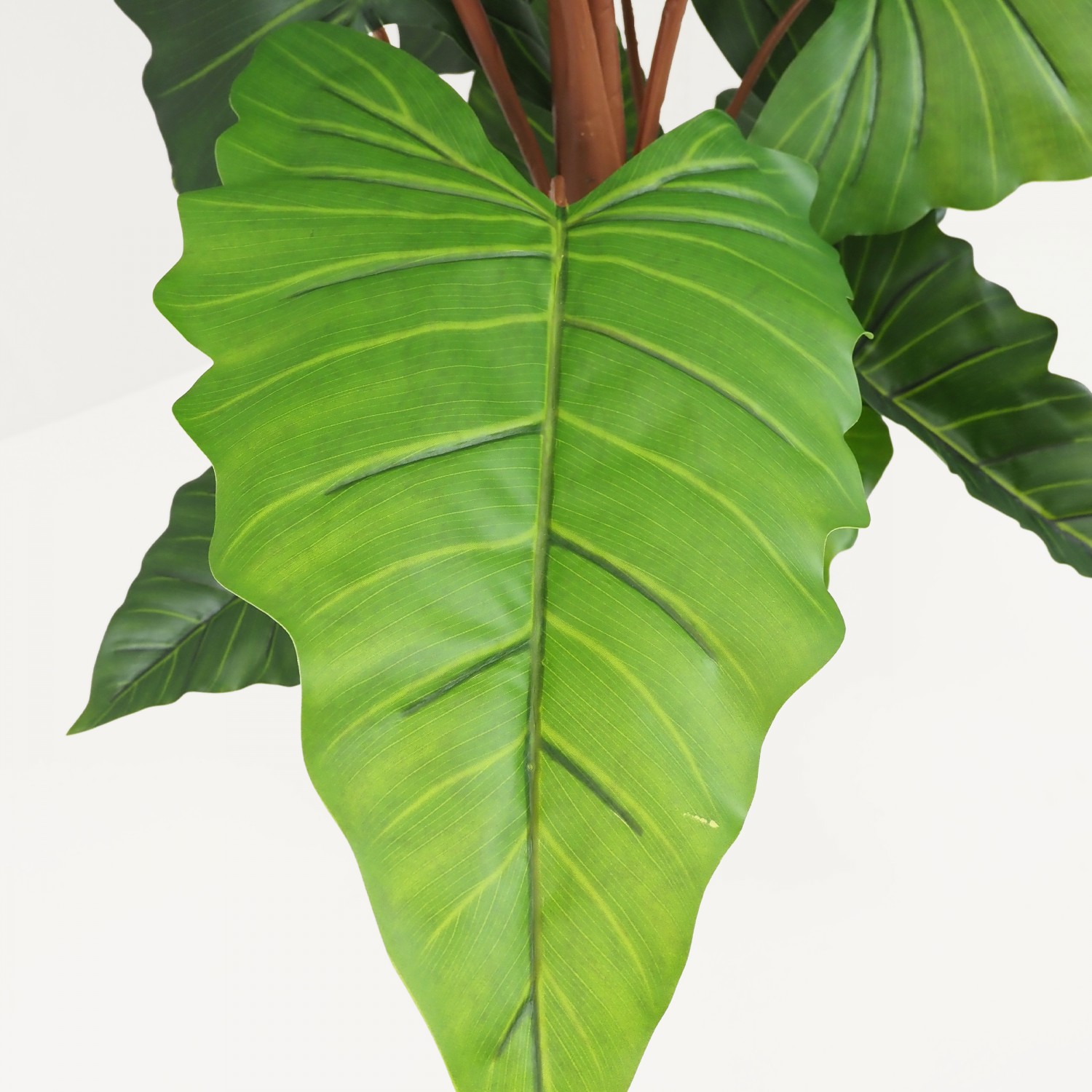 Alocasia artificiel toucher naturel 150cm focus zoom feuille