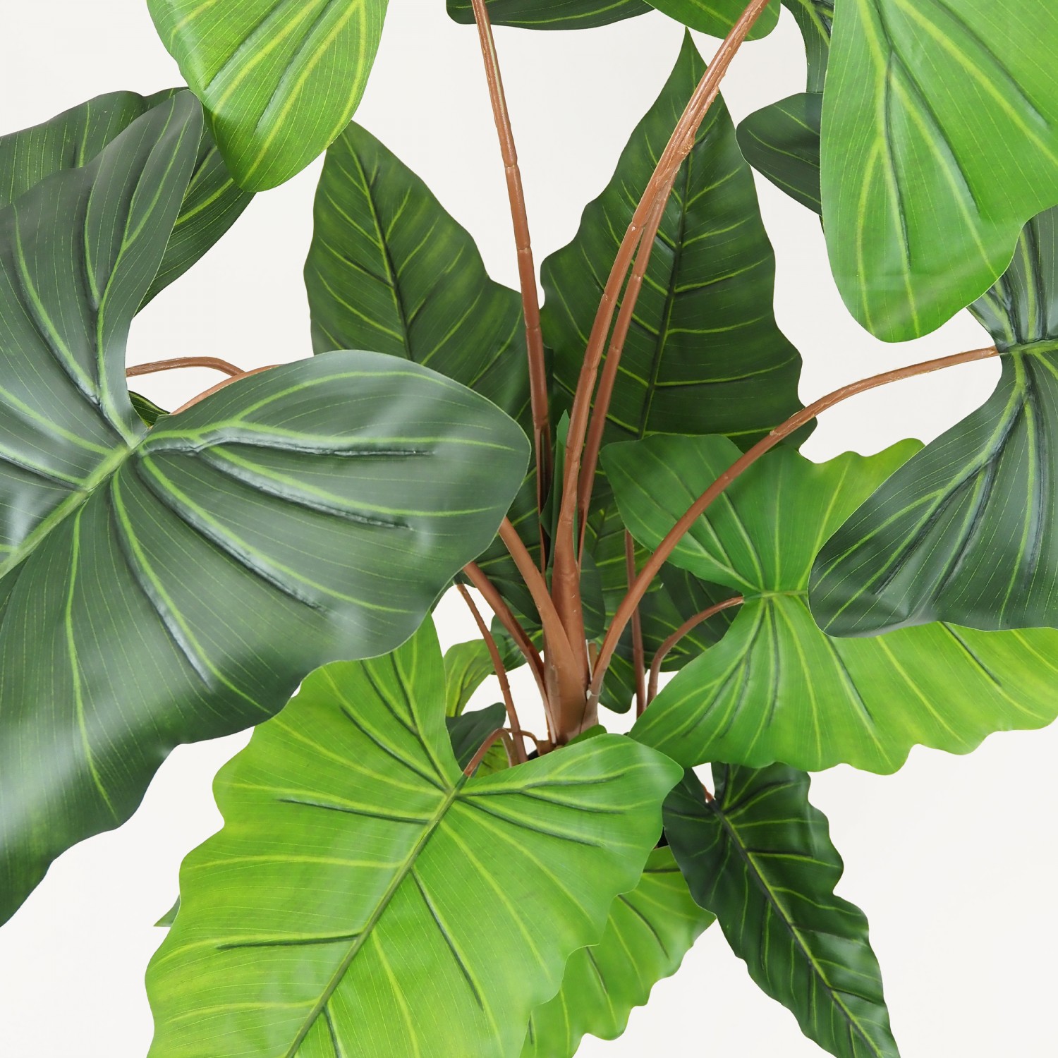 Alocasia artificiel toucher naturel 150cm focus zoom produit