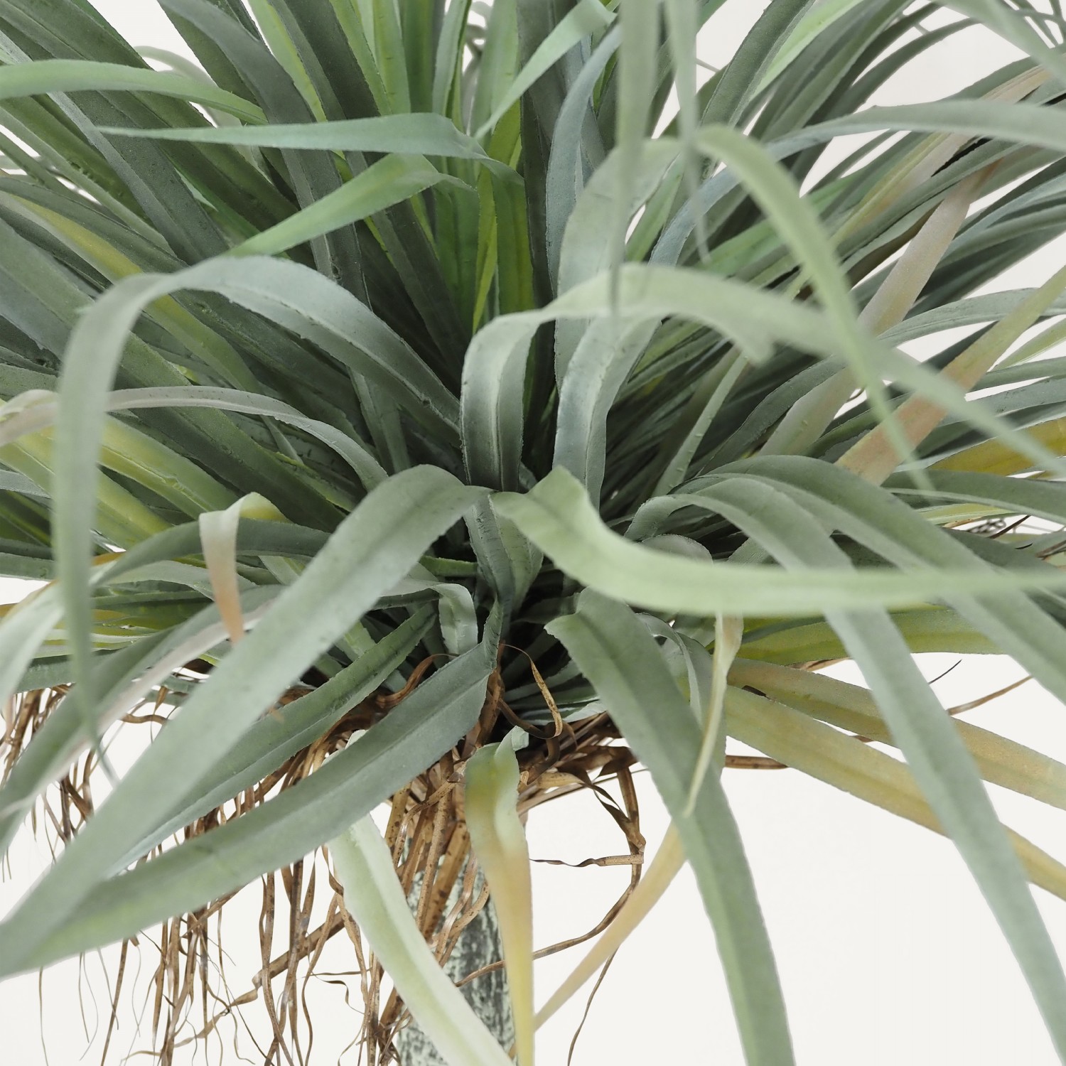 Yucca artificiel 180cm focus zoom feuilles