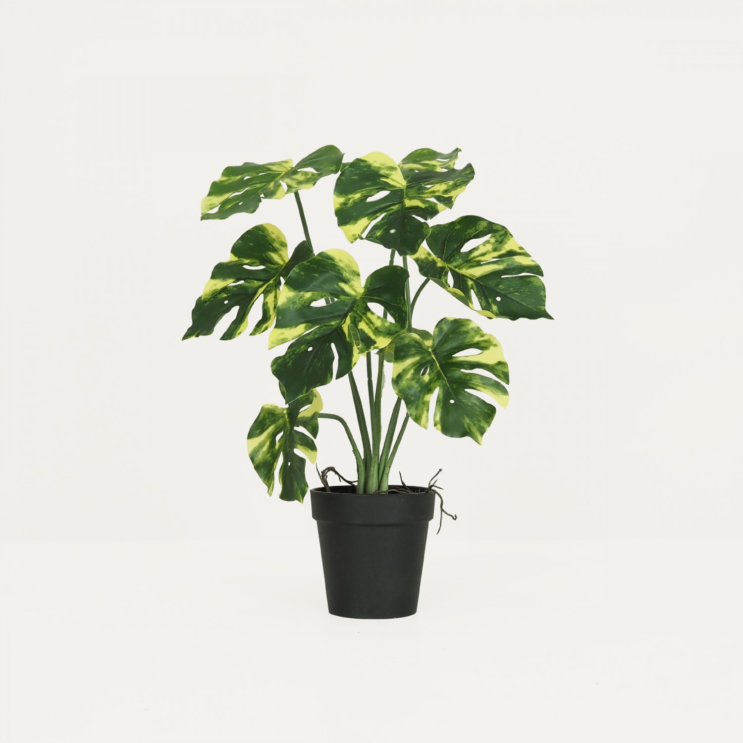 Monstera artificiel variegata 35cm sur fond beige