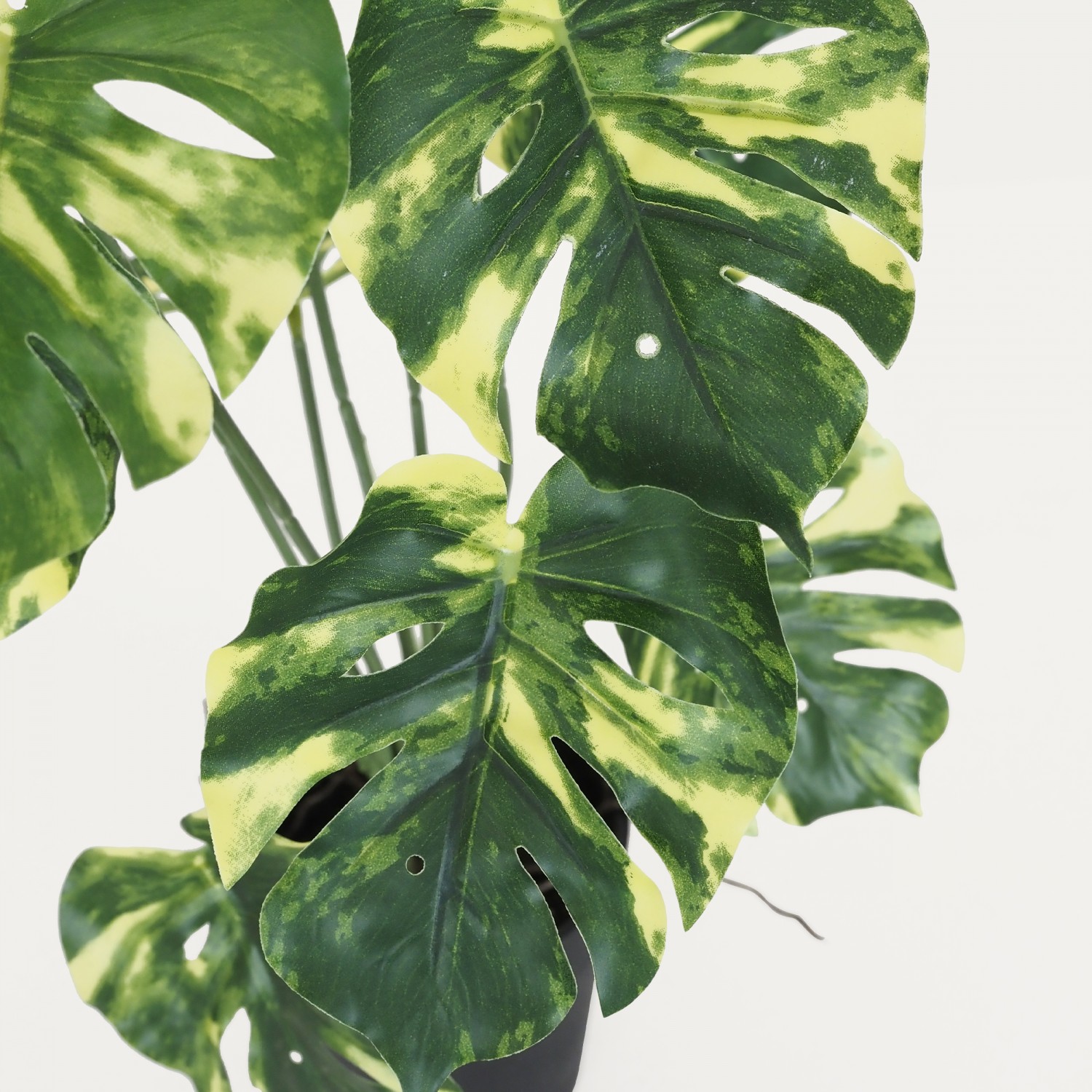 Monstera artificiel variegata 35cm focus zoom feuilles