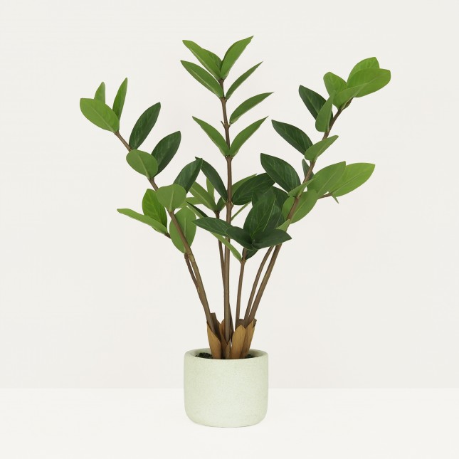 Plante verte zamioculcas artificiel 48cm sur fond beige