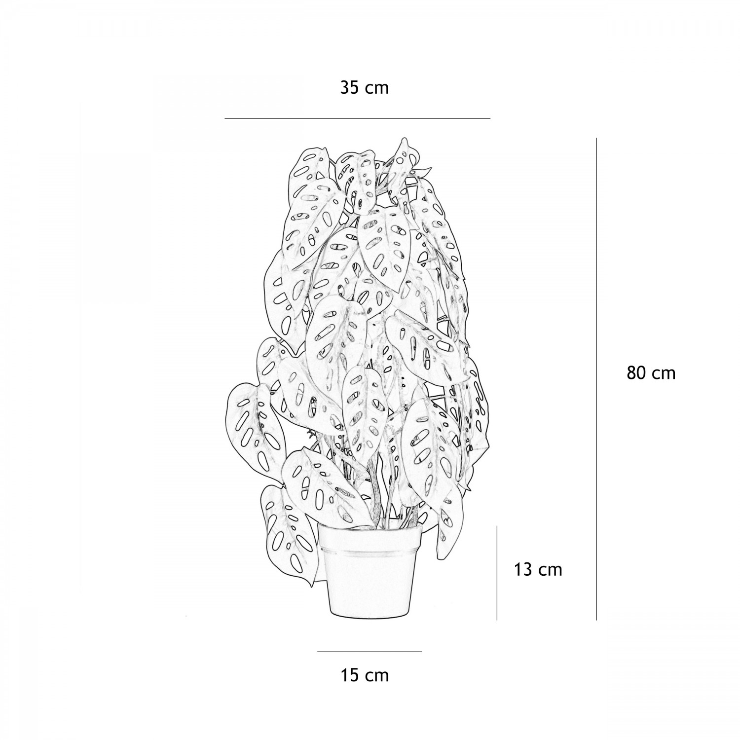 Monstera artificiel topiaire 80cm graphique avec les dimensions