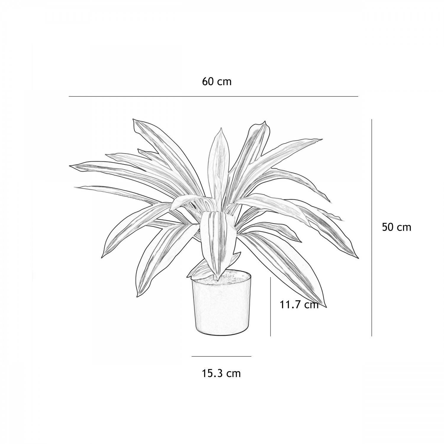 Dracena artificiel 50cm graphique avec les dimensions