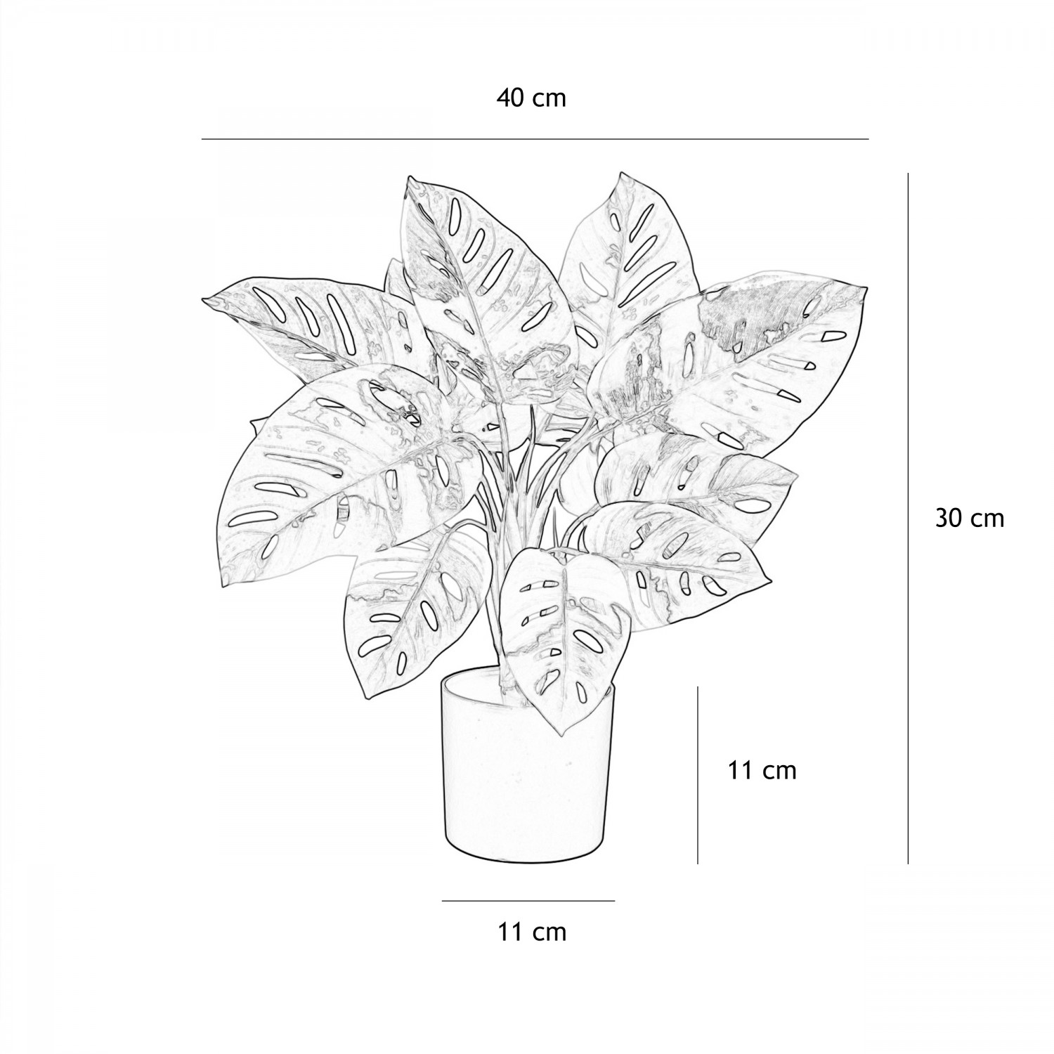 Monstera artificiel toucher naturel 50cm graphique avec les dimensions