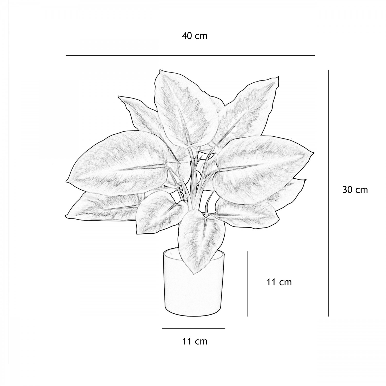 Dieffenbachia artificiel toucher naturel 50cm graphique avec les dimensions