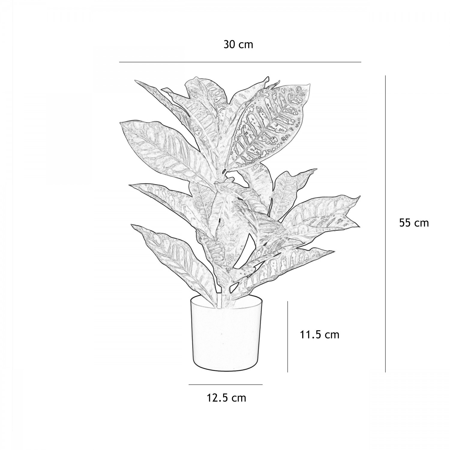 Croton artificiel rouge 55cm graphique avec les dimensions