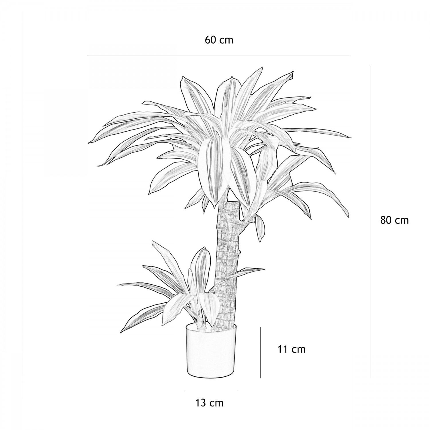 Dracena artificiel toucher naturel 80cm graphique avec les dimensions