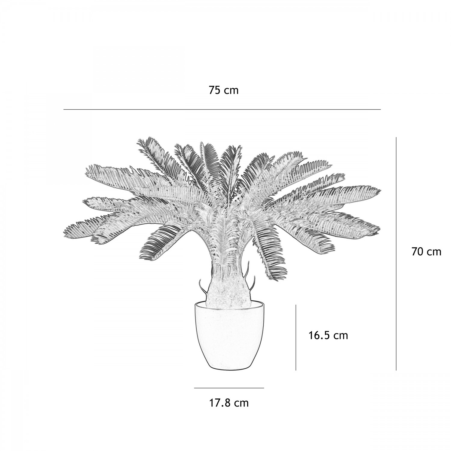 Palmier artificiel cycas 70cm graphique avec les dimensions