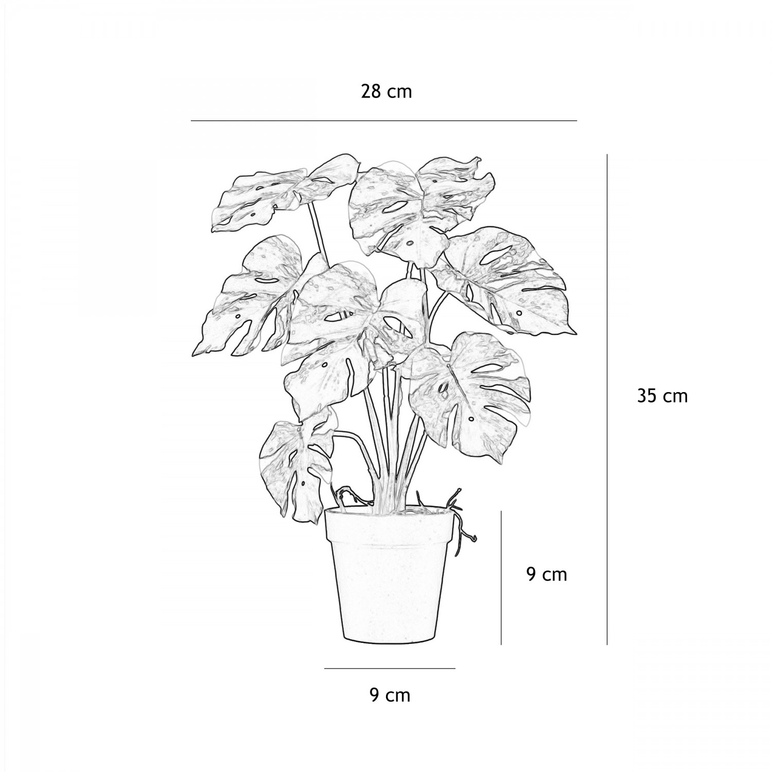 Monstera artificiel variegata 35cm graphique avec les dimensions