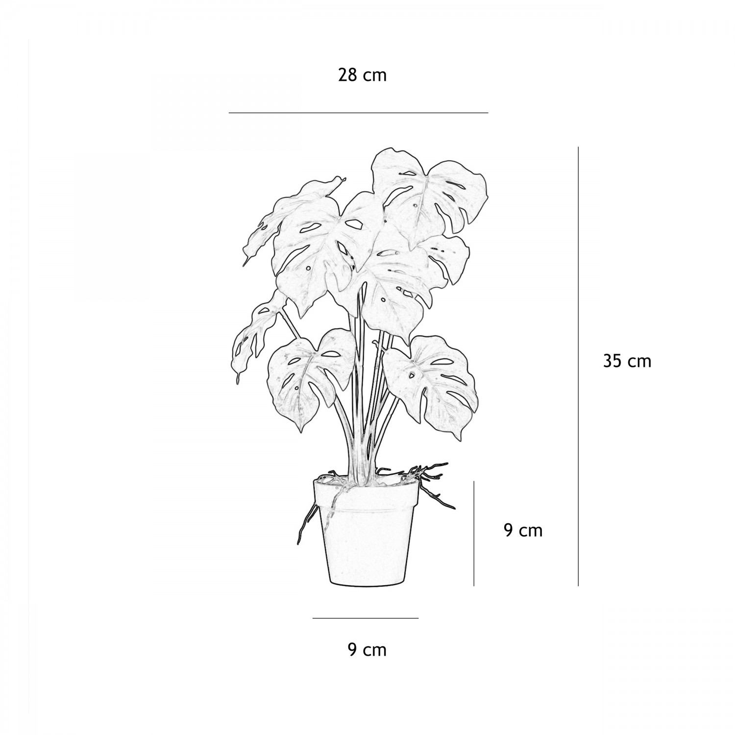 Monstera artificiel 35cm graphique avec les dimensions