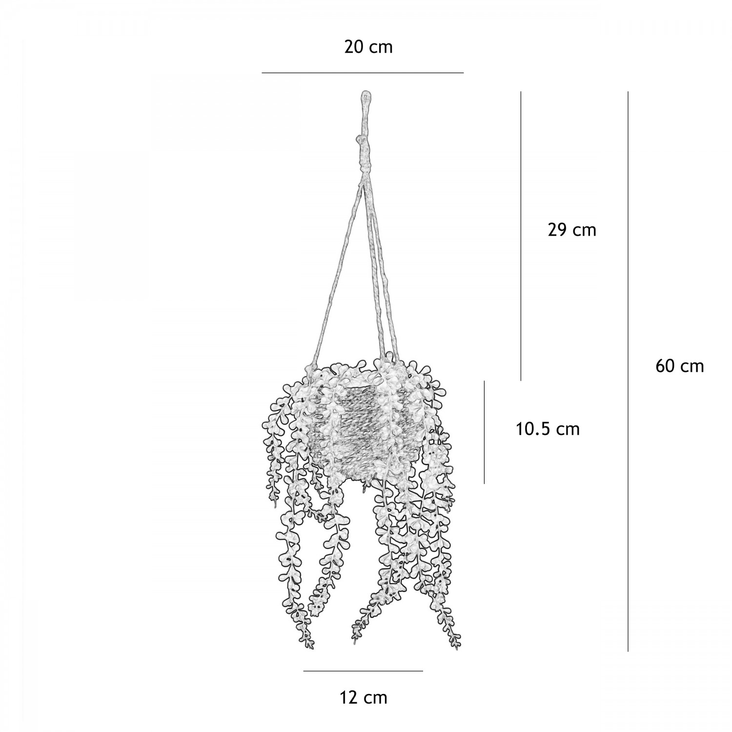 Succulente artificielle suspension 60cm graphique avec les dimensions