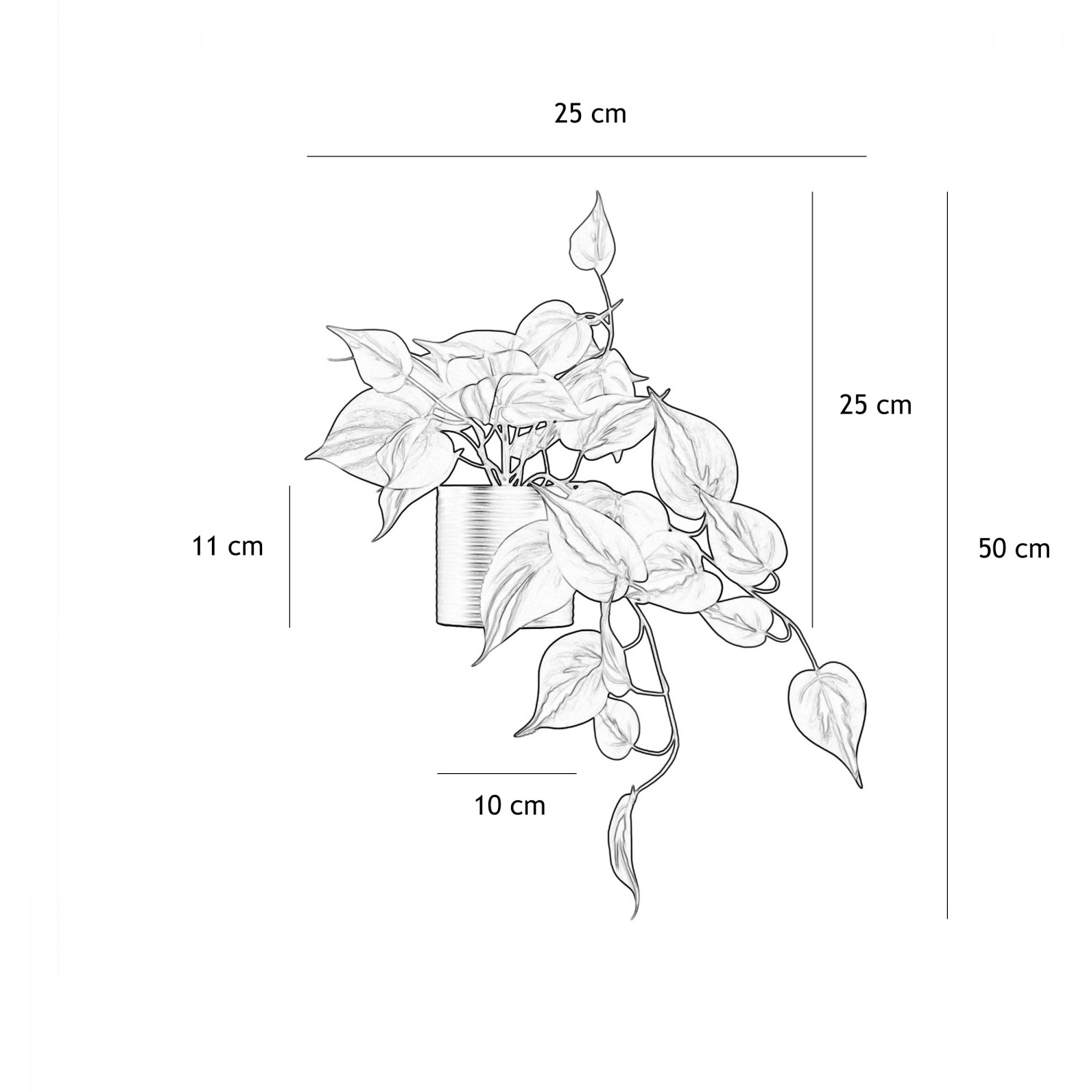 Plante artificielle tombante pothos 50cm graphique avec les dimensions