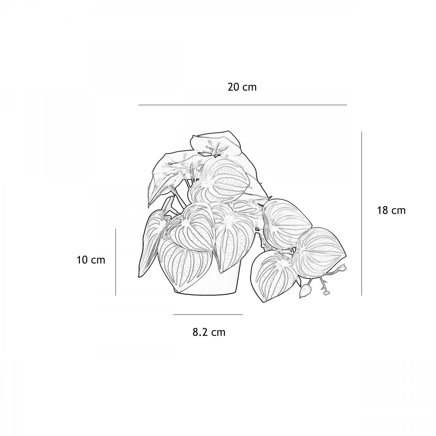 Plante artificielle tombante 18cm lot de 2 graphique avec les dimensions