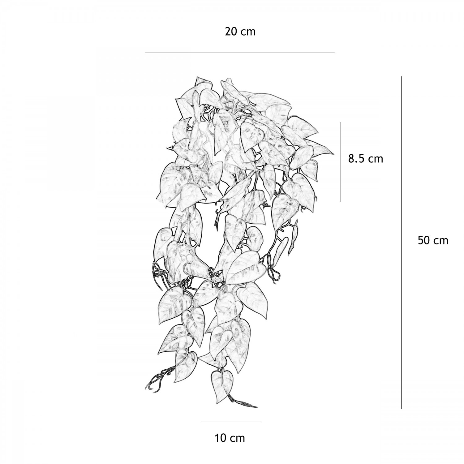 Plante succulente retombante artificielle 50cm lot de 2 graphique avec les dimensions