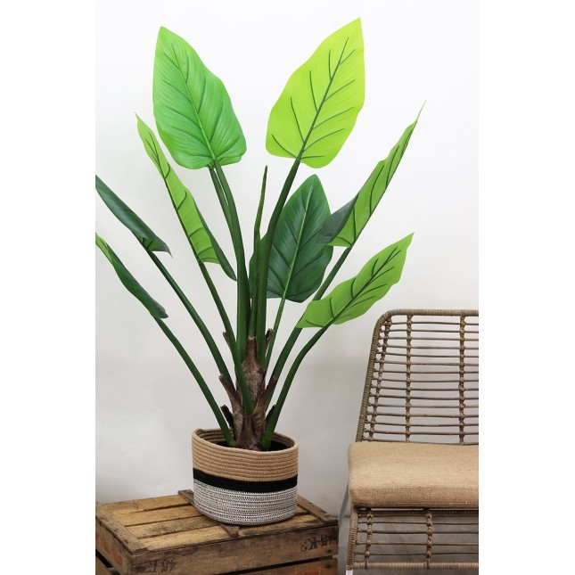 Alocasia artificiel 9 feuilles 125cm