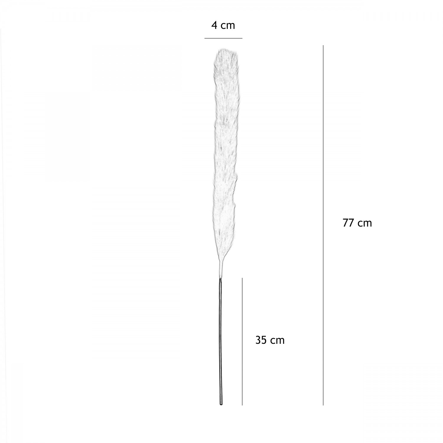 Plumeau artificiel champagne 77cm lot de 4 graphique avec les dimensions