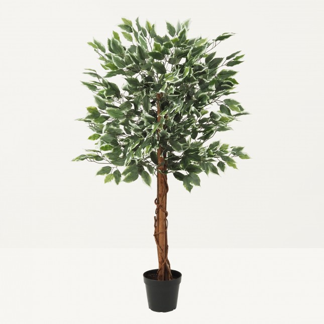 Ficus artificiel panaché 588 feuilles 120cm sur fond beige