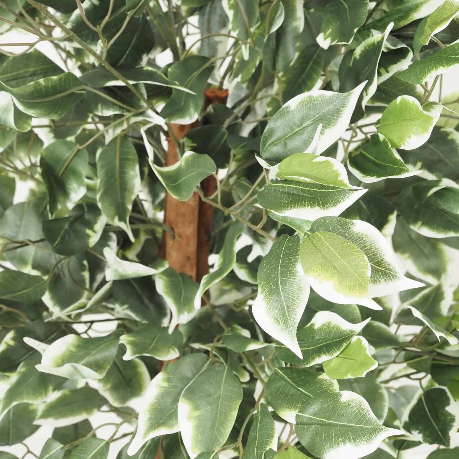 Ficus artificiel panaché 588 feuilles 120cm focus zoom feuilles