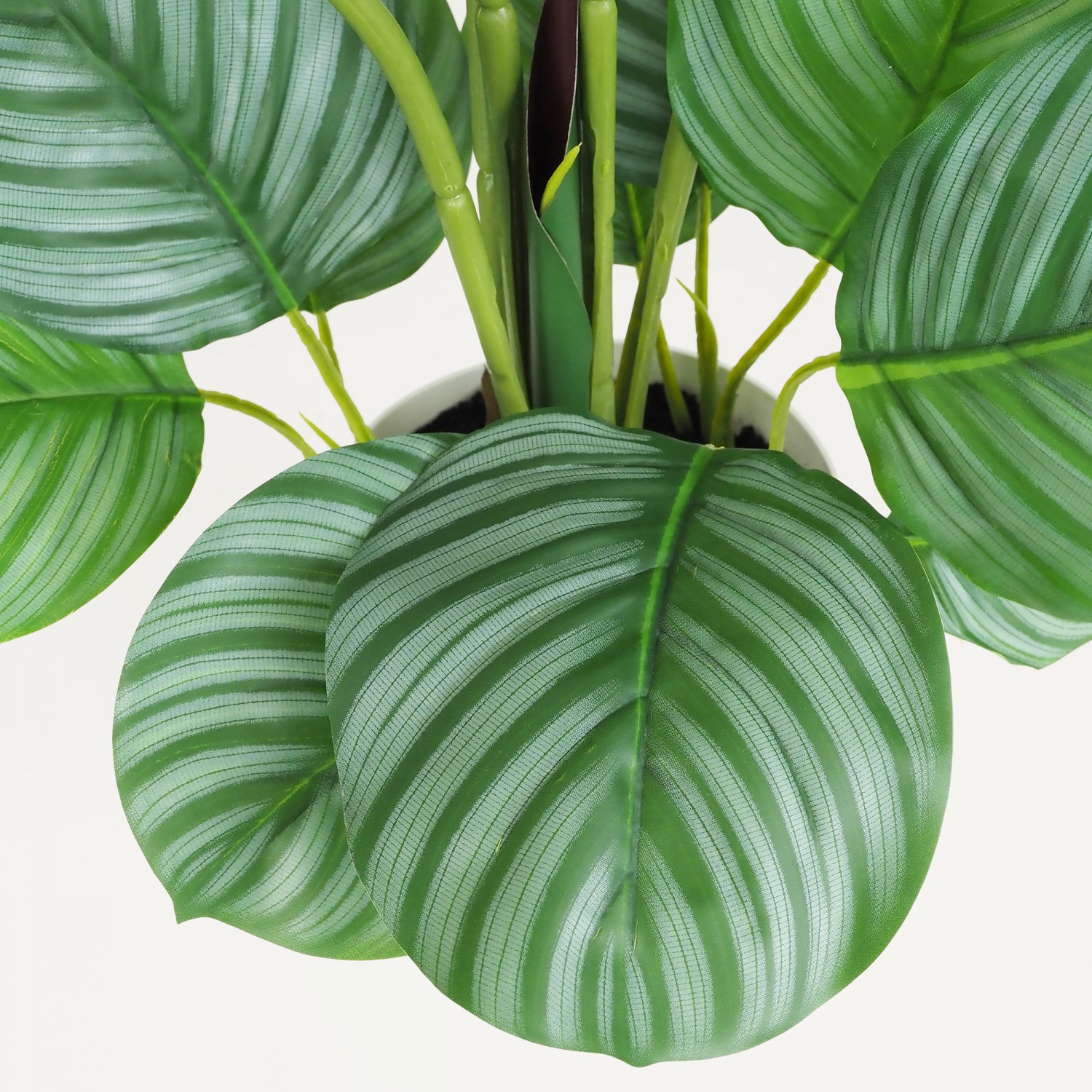 Plante verte calathea artificiel 75cm focus zoom feuilles