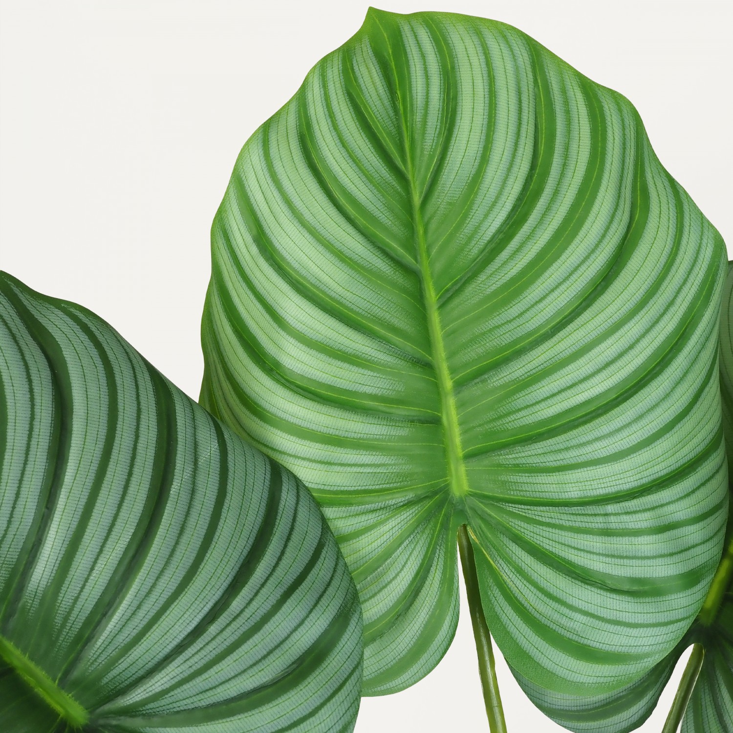 Plante verte calathea artificiel 75cm focus zoom feuilles 2