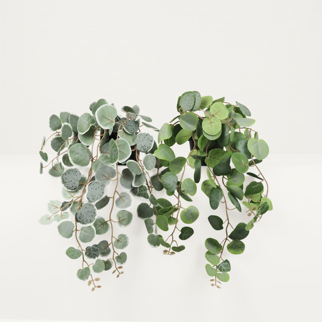 Eucalyptus artificiel retombant 40cm lot de 2 sur fond beige