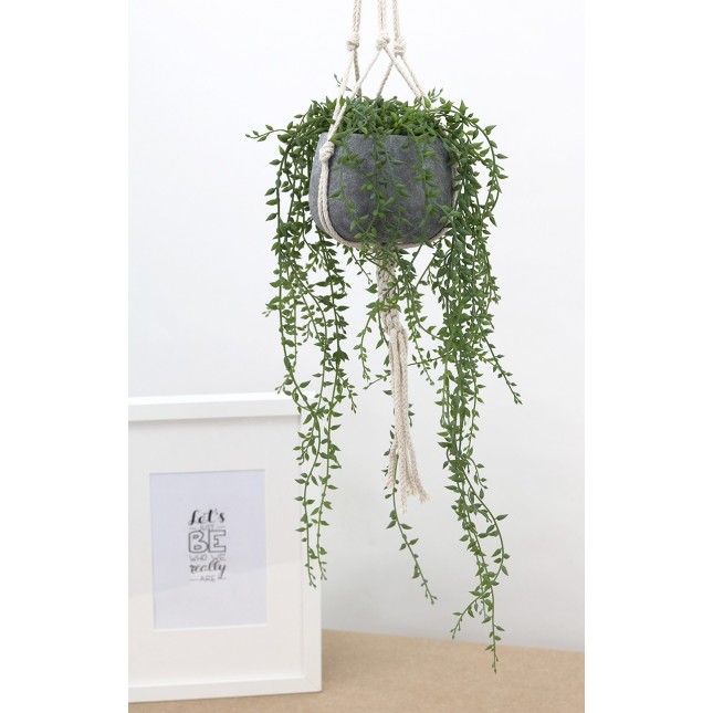Suspension succulentes artificielles Ligne Deco