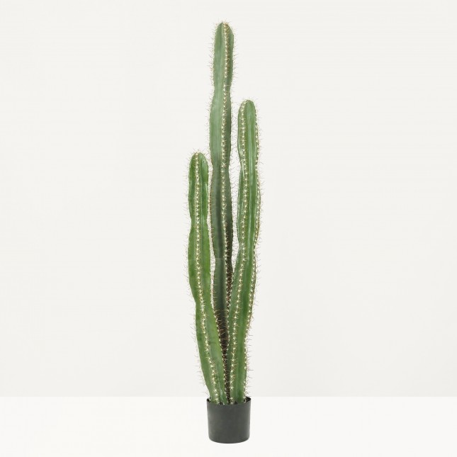 Cactus artificiel grande taille 155cm sur fond beige