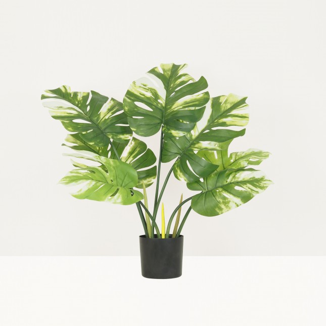 Monstera artificiel 40cm sur fond beige