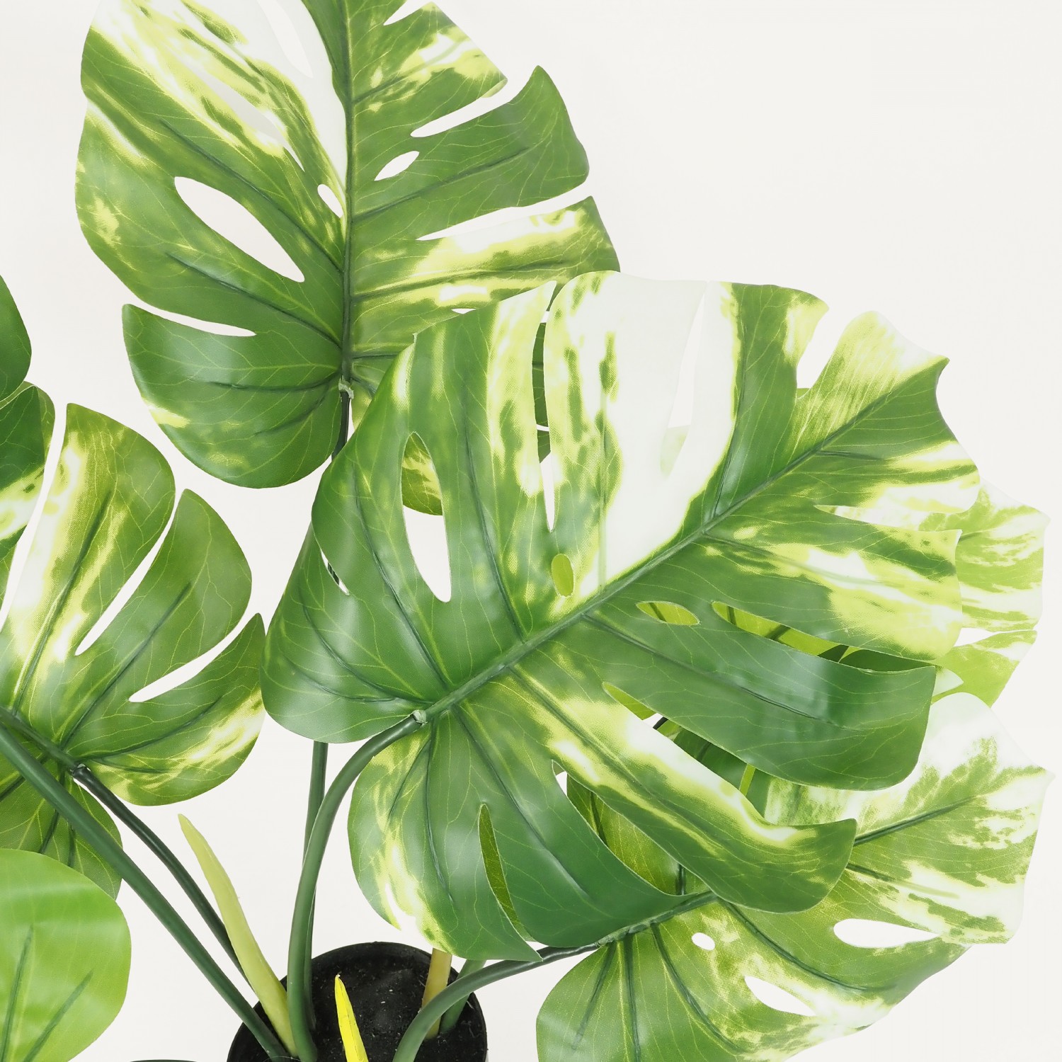 Monstera artificiel 40cm focus zoom feuilles