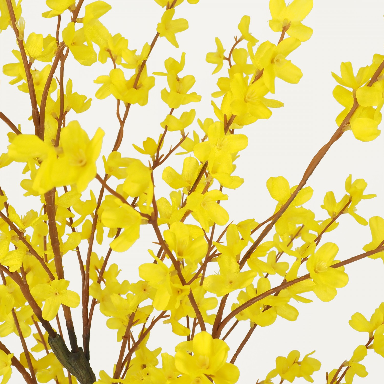 Forsythia artificiel jaune 150cm focus zoom fleurs