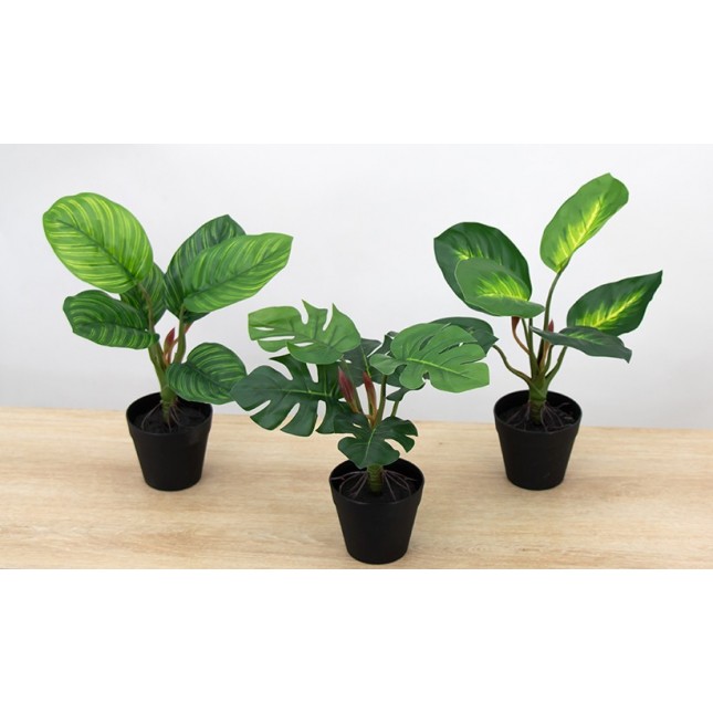 Plantes tropicales artificielles Ligne Déco