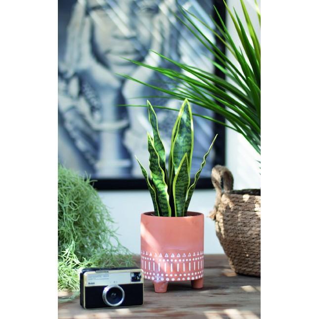 Sanseveria artificielle pot terracotta 40cm