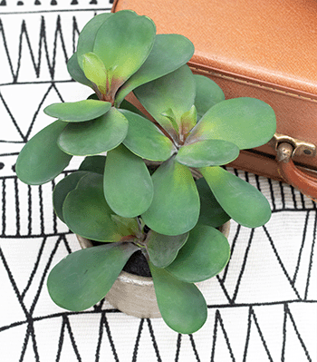 Ligne Déco plantes fleurs arbres artificiels