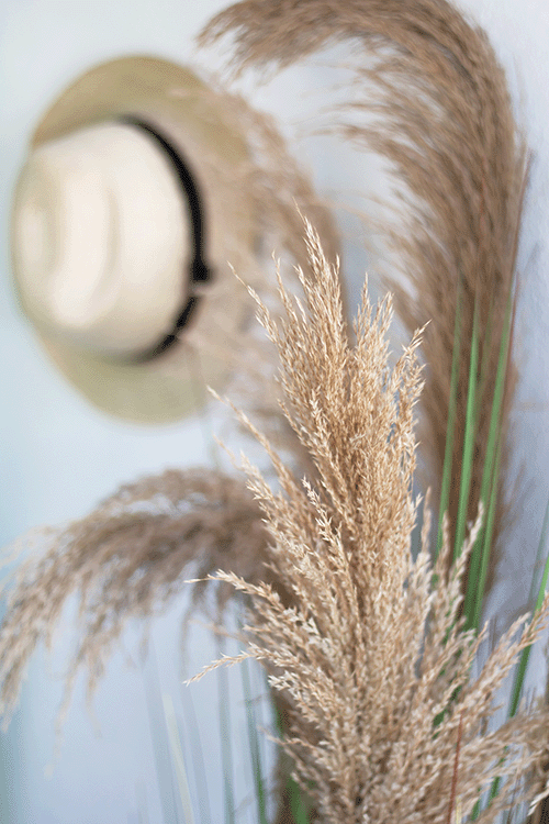 Ligne Déco plantes fleurs arbres artificiels