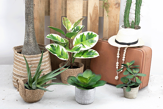 Ligne Déco plantes fleurs arbres artificiels