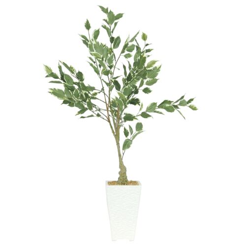 Ficus artificiel panaché 100cm sur fond blanc