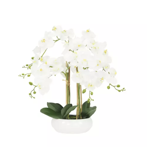 Orchidées artificielles blanche 55cm sur fond blanc
