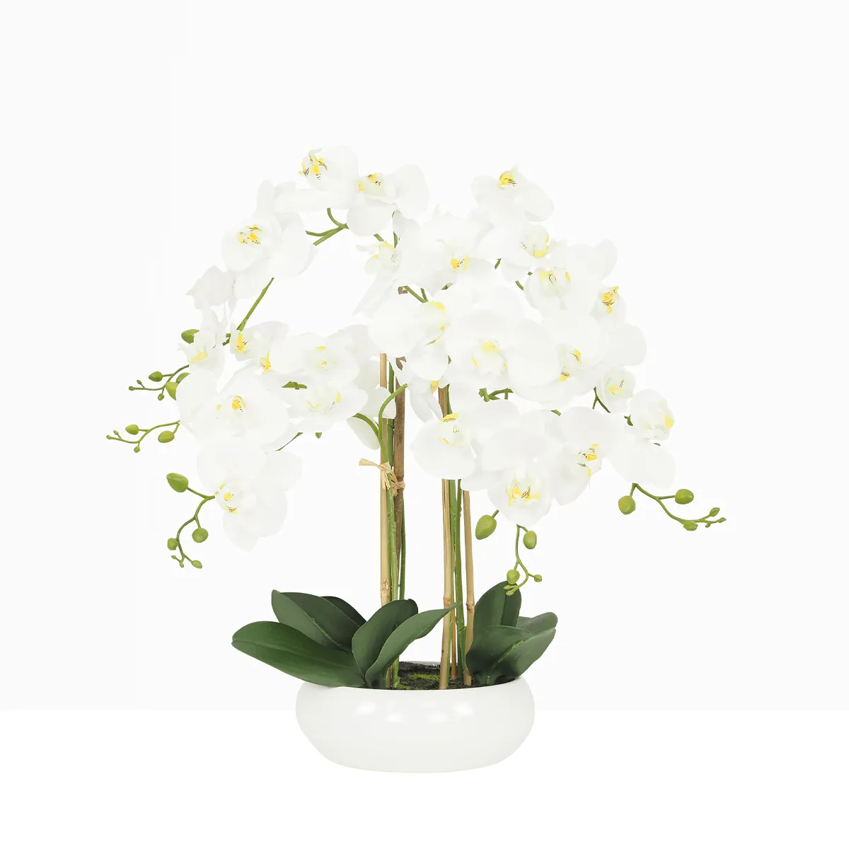 Orchidée artificielle blanche 55cm sur fond gris