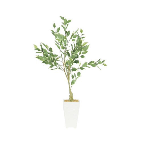Ficus artificiel panaché 100cm sur fond blanc