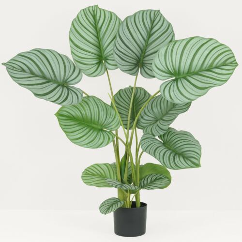 Calathea artificielle 100 cm