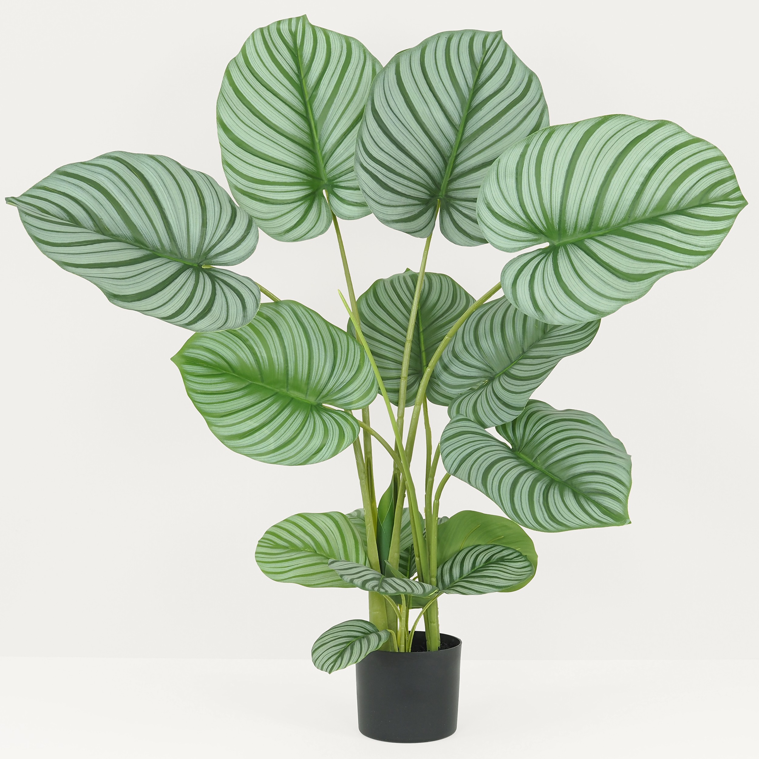 Calathea artificielle 100 cm