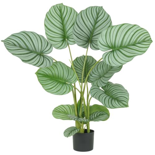 Plante verte calathea artificiel 100cm sur fond blanc