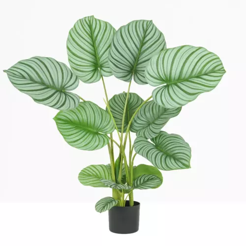 Calathea artificielle 100 cm sur fond beige