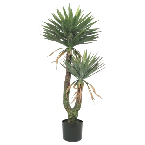 Yucca artificiel 2 troncs 150cm sur fond blanc