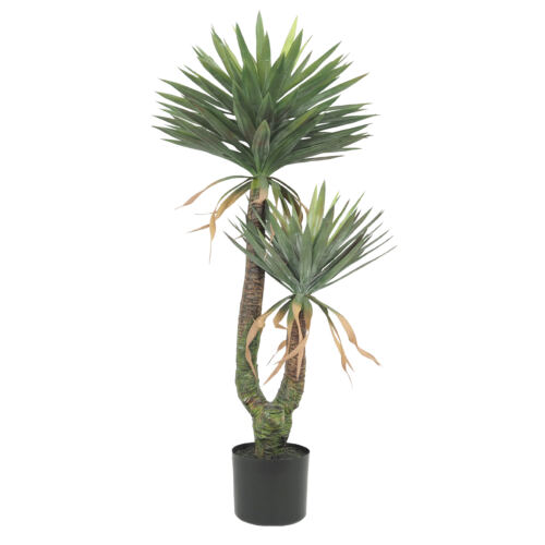 Yucca artificiel 2 troncs 150cm sur fond blanc