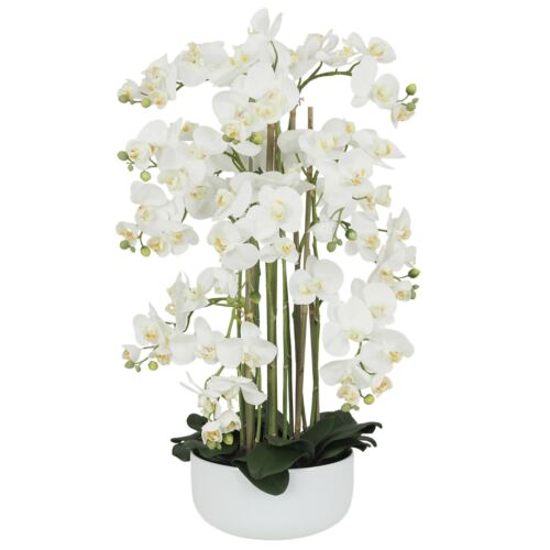 Orchidée artificielle 80 cm sur fond blanc