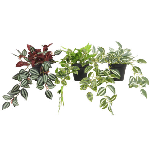 Plante verte artificielle tombante lot de 3 50cm sur fond blanc