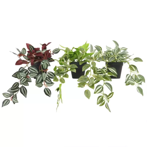 Plante verte artificielle tombante lot de 3 50cm sur fond blanc