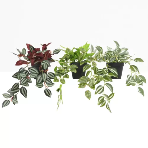 Plante verte artificielle tombante lot de 3 50cm sur fond gris